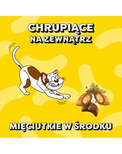 DREAMIES Shake Ups Multivitamins Chrupiące przysmaki dla kota Uczta z owocami morza 55 g